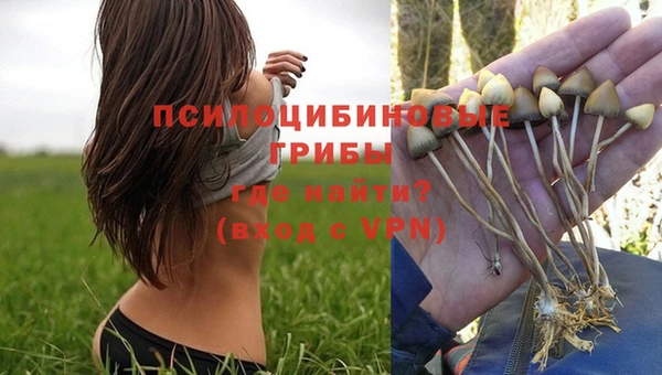 мдма Богородицк
