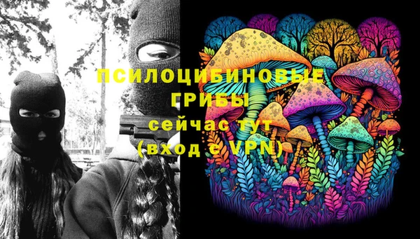мдма Богородицк