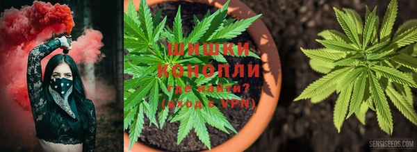 мдма Богородицк