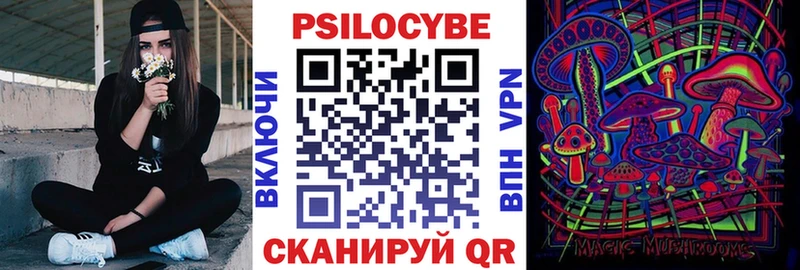 Псилоцибиновые грибы Psilocybine cubensis Урай